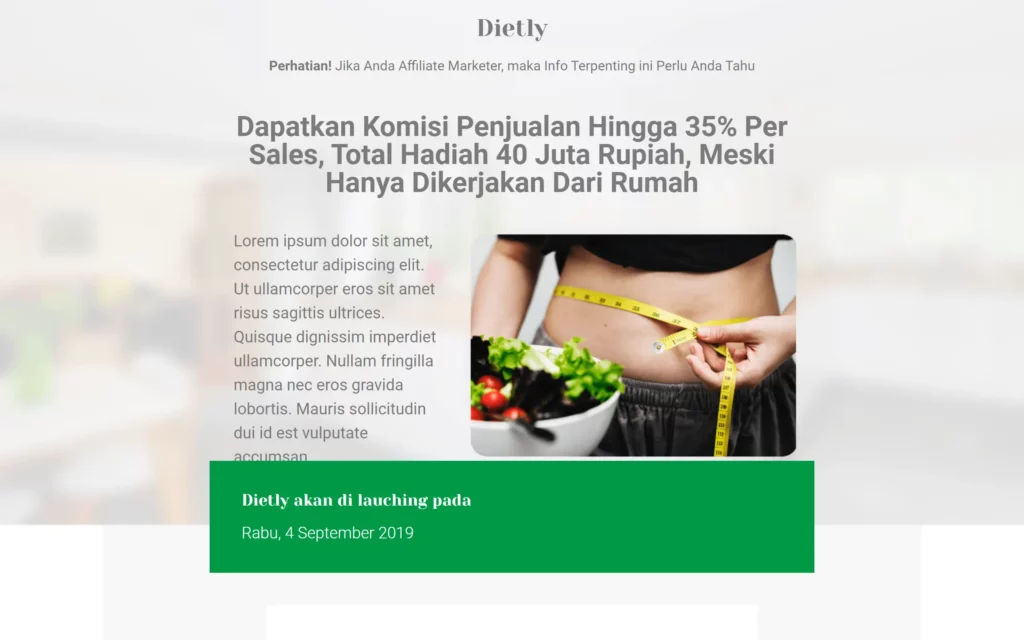 lp.rekanonline.com landingpage affiliate2 Nest Hub Max